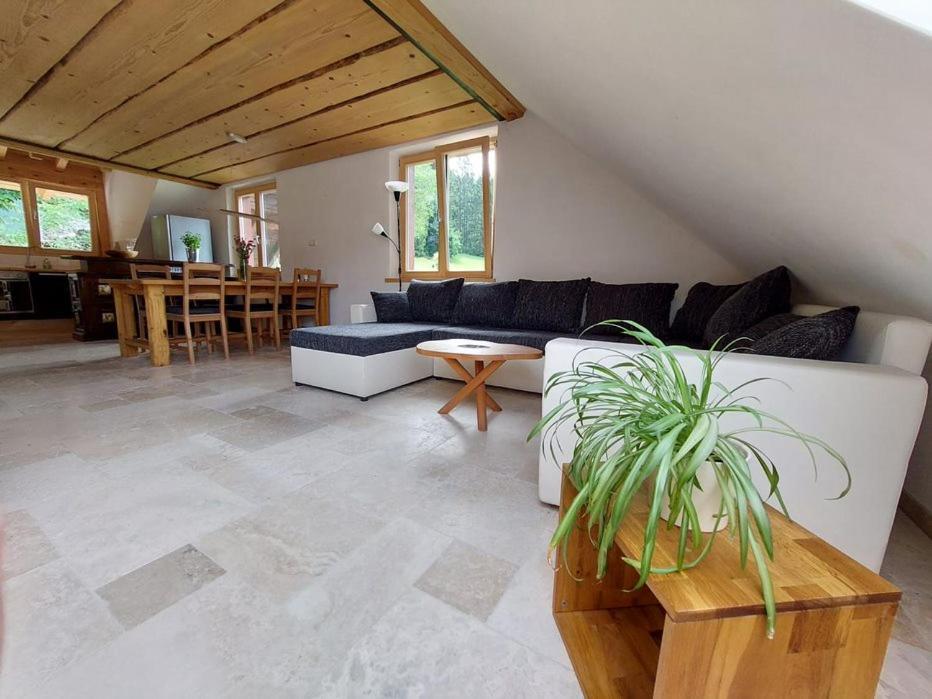 Ferienwohnung Zum Eichbuehl St. Blasien Exterior foto