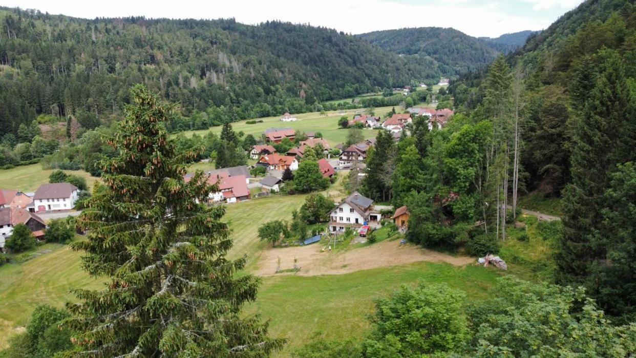 Ferienwohnung Zum Eichbuehl St. Blasien Exterior foto